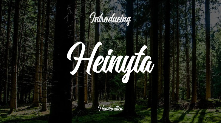 Heinyta Font