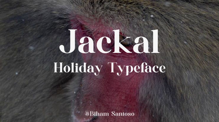 Jackal Holiday Font Family
