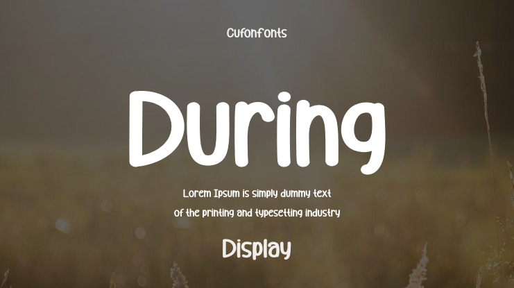 During Font