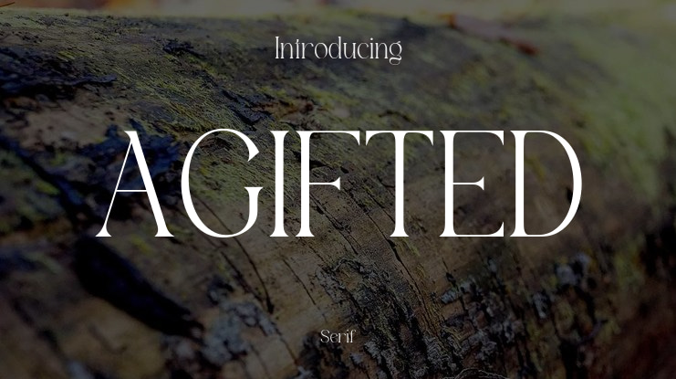 AGIFTED Font