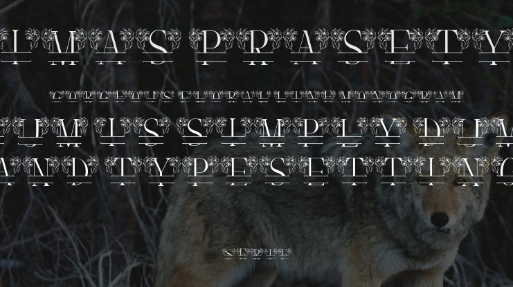 Gorgeous Floral Line Monogram Font