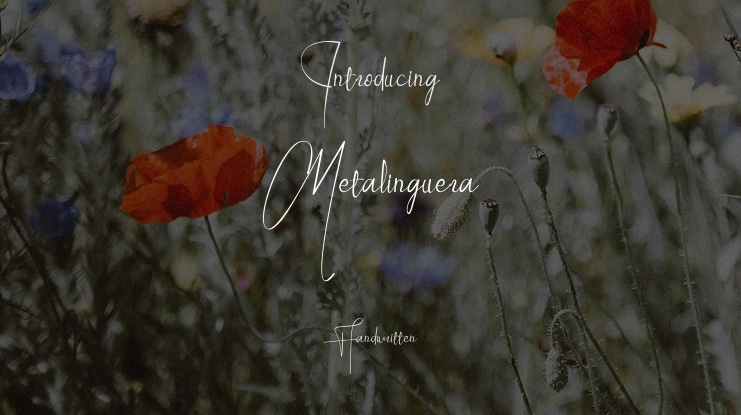 Metalinguera Font
