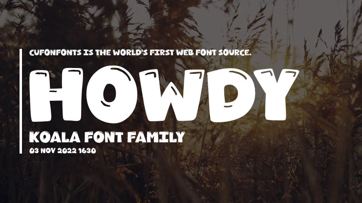 Howdy Koala Font
