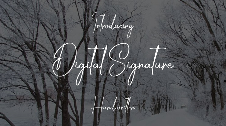Digital Signature Font