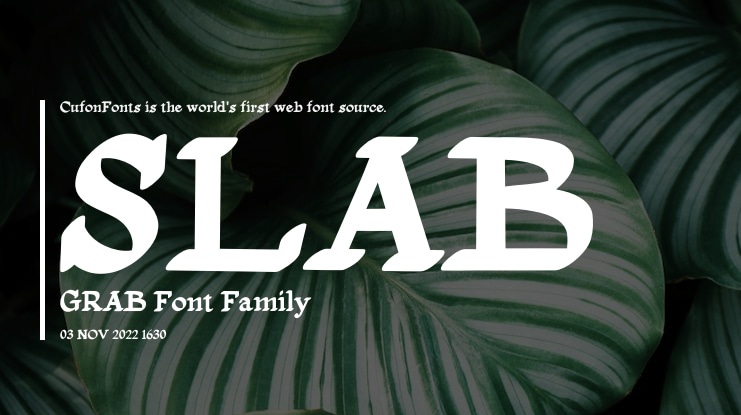 SLAB GRAB Font