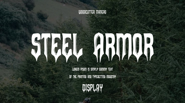 Steel Armor Font