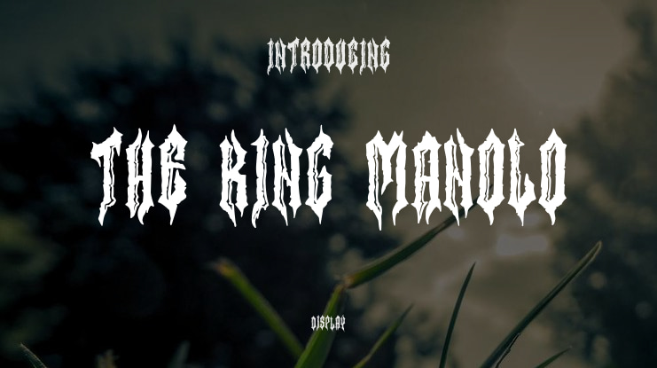 The King Manolo Font