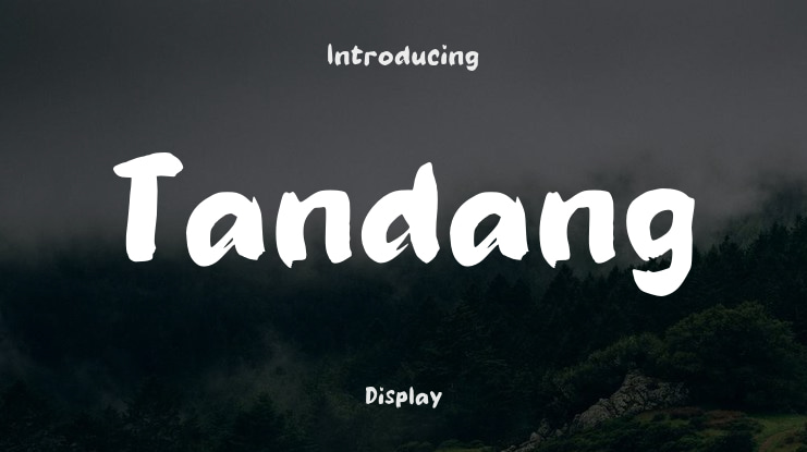Tandang Font