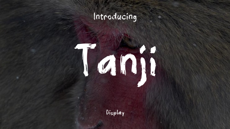 Tanji Font