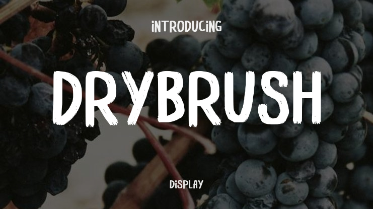 Drybrush Font