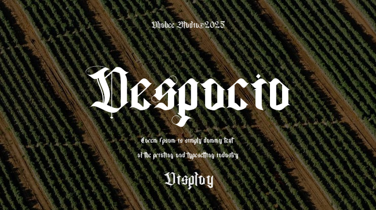 Despacio Font