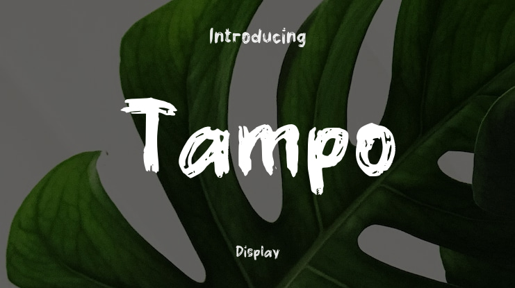 Tampo Font