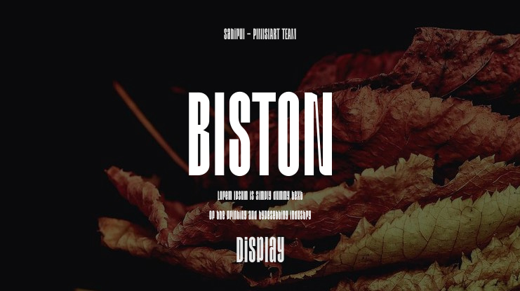 BISTON Font