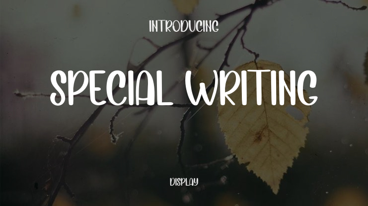 SPECIAL WRITING Font