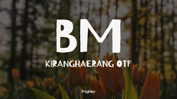 BM KIRANGHAERANG OTF Font