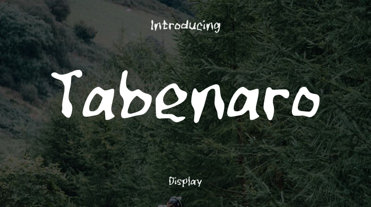 Tabenaro Font