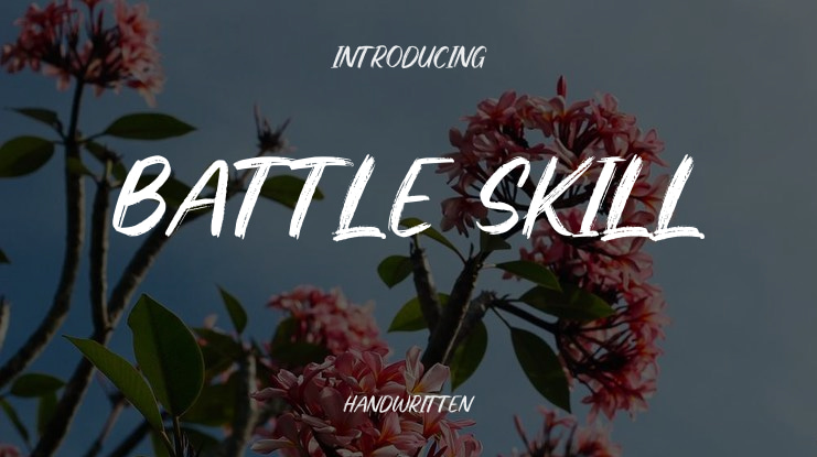Battle Skill Font