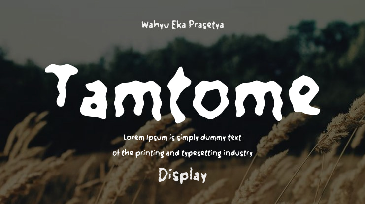 Tamtome Font