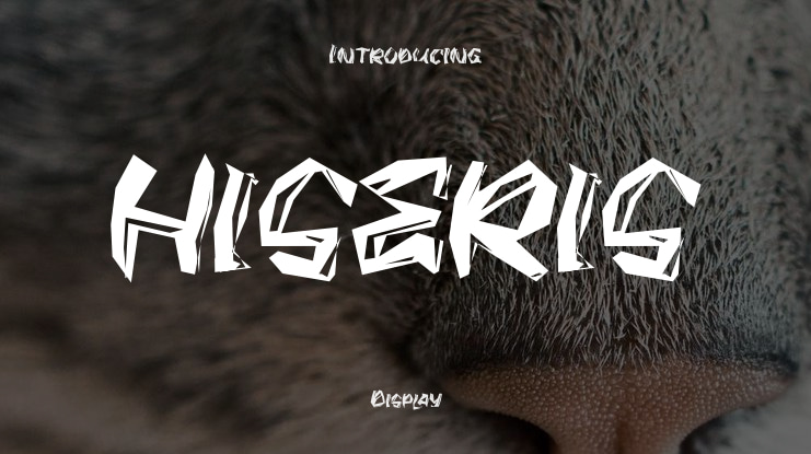 HISERIS Font