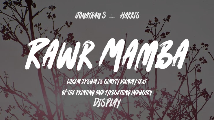 Rawr Mamba Font