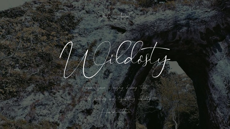 Wildosty Font