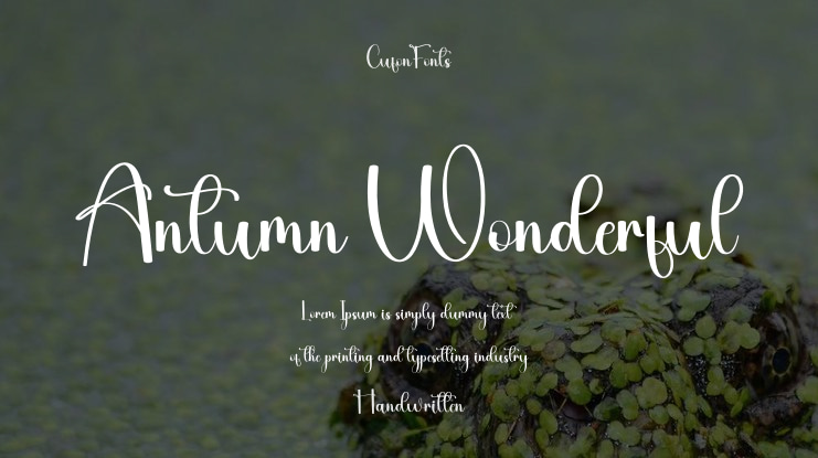 Antumn Wonderful Font