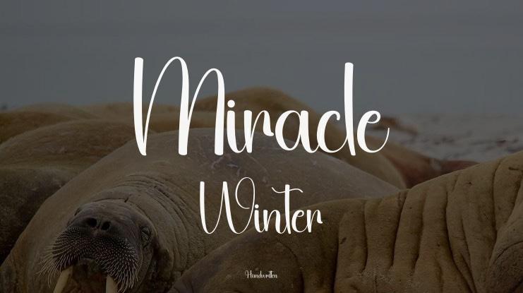 Miracle Winter Font