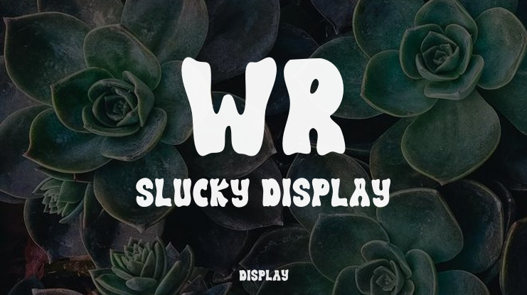 WR Slucky Display Font
