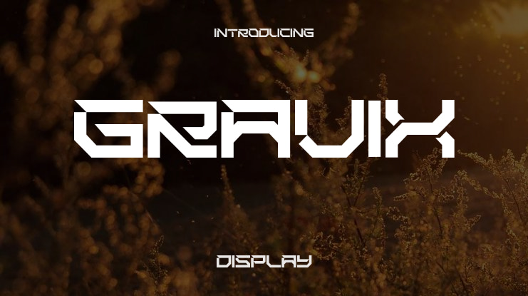GRAVIX Font