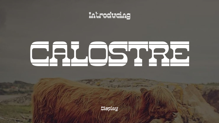 CALOSTRE Font