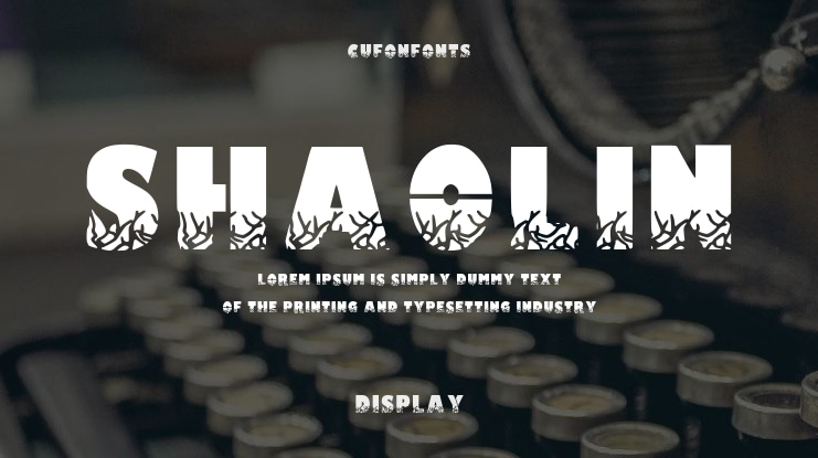 Shaolin Font