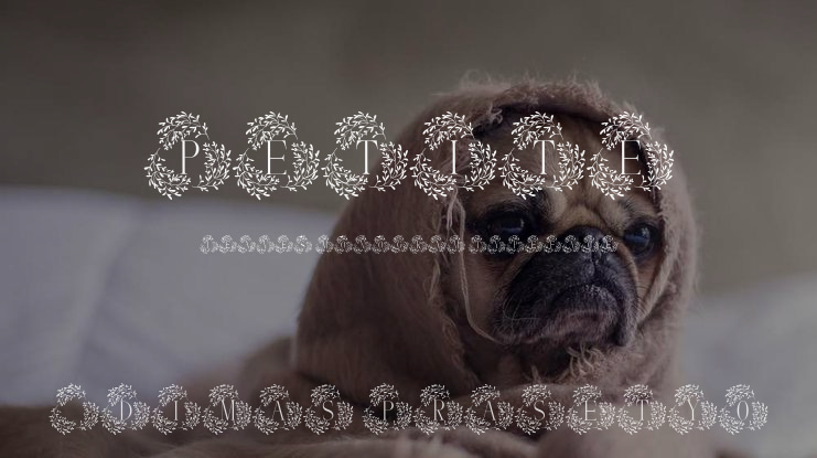 Petite Leaves Monogram Font