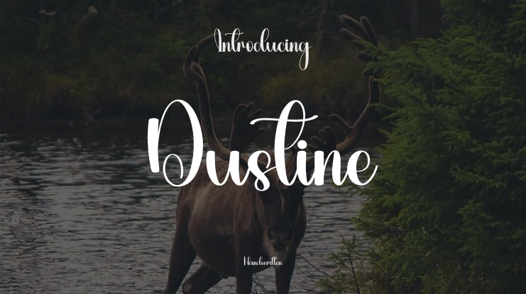 Dustine Font