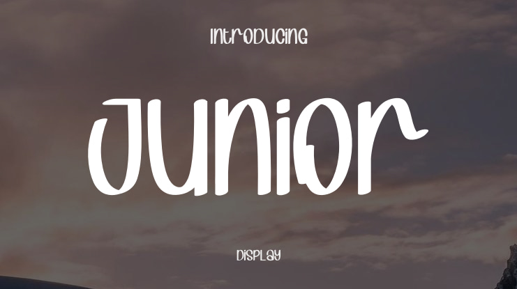 Junior Font