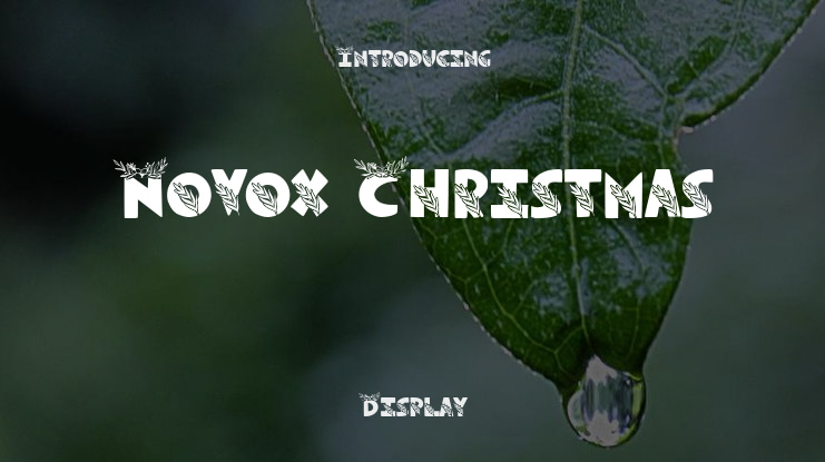 Novox Christmas Font