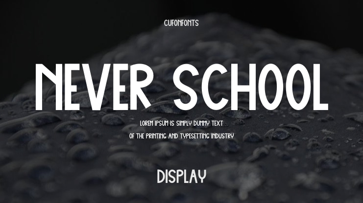 Never School Font