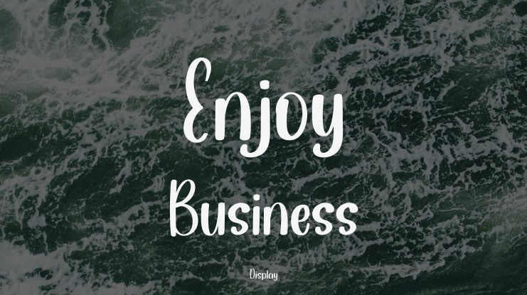 Enjoy Business Font
