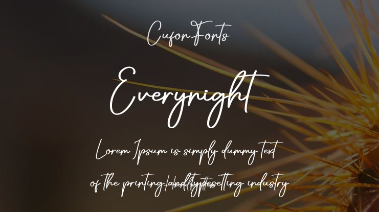 Everynight Font
