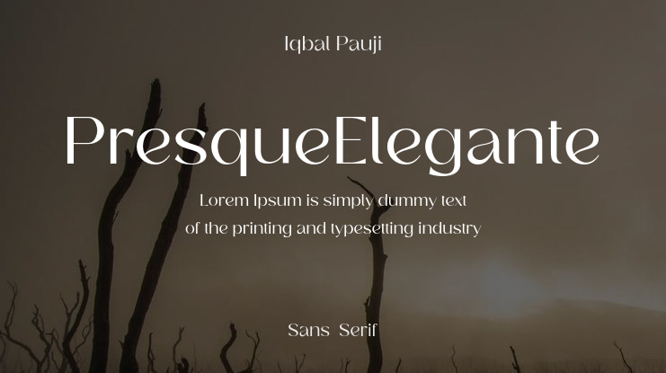PresqueElegante Font