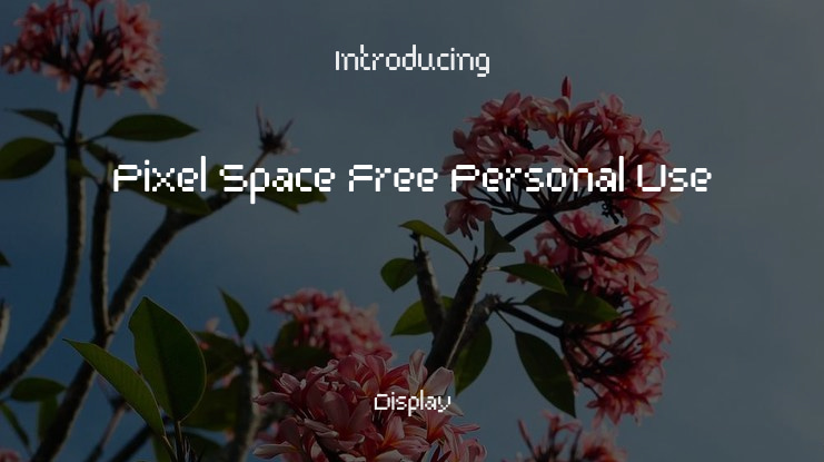 Pixel Space Free Personal Use Font