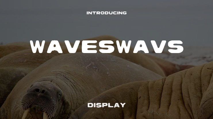 Waveswavs Font
