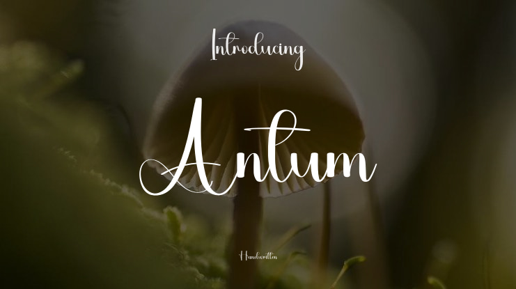 Antum Font