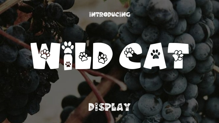 Wild Cat Font