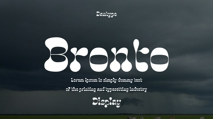Bronto Font