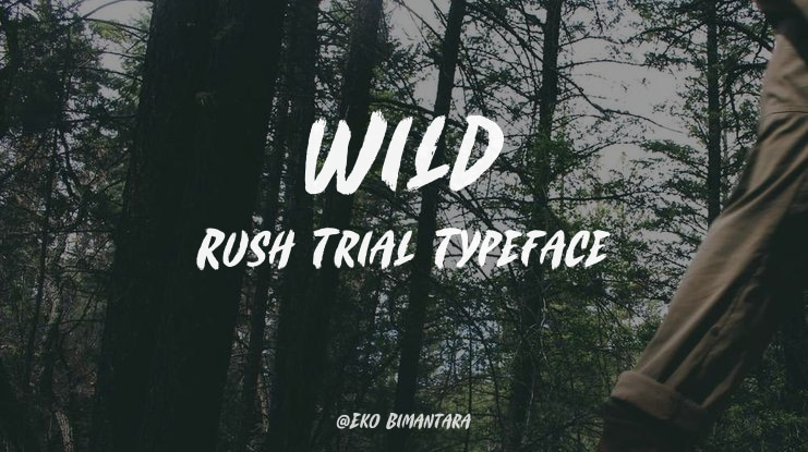 Wild Rush Trial Font