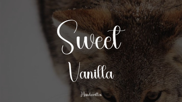 Sweet Vanilla Font