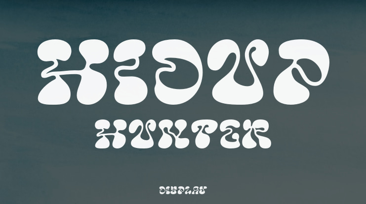 Hidup Hunter Font