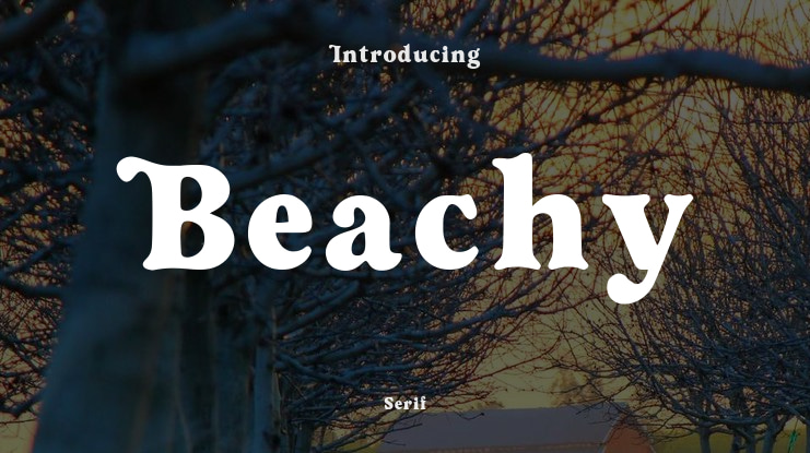 Beachy Font