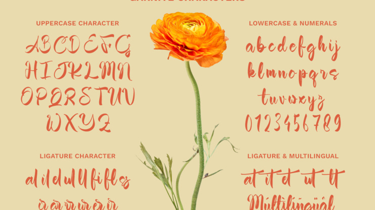Garnite Font