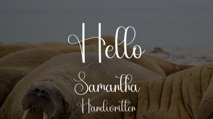 Hello Samantha Font